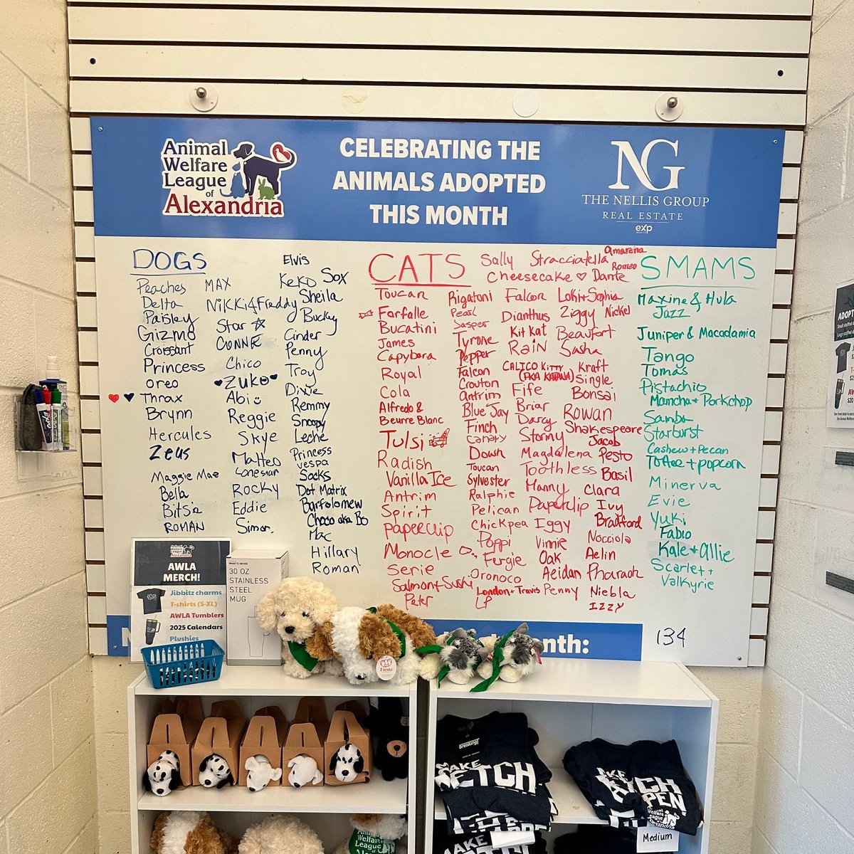 AlexAnimals's tweet photo. We're going to need a bigger board ... π¦
Our adoptions board *almost* hit its limit. π² We had 170 adoptions in July!
Thank you to everyone who adopted and helped make this a near record-setting month! π©΅
#alexanimals #adopted #dc #dmv #alexalumni https://t.co/NXw13ankzJ