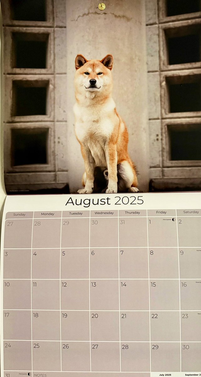 Good morning and a hearty hello to the month of August. Let’s fill each day with moments to remember. 

📷:Sanna Sander