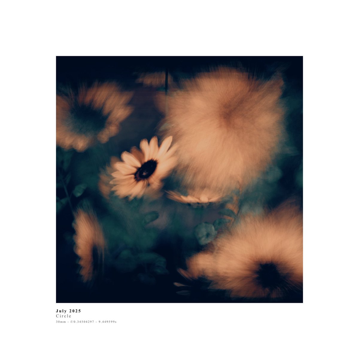 #INTEGRAL_CAM  #VRChat