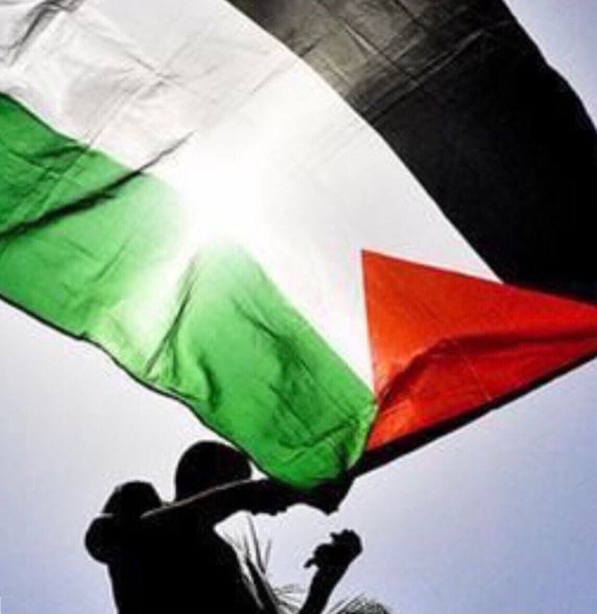 aliabinteasad's tweet photo. Free Palestine, Free Humanity
 #f_a_l_e_s_t_i_n_e 
#freepalestine🇵🇸 
#falestinelivesmatter 
#boycottisrael  
#savefalestine  
#domeoftherock 
#masjidalaqsa  
#zionismisterrorism  
#falestinianfood
#chakdiyeo https://t.co/qKrKZmtpU4