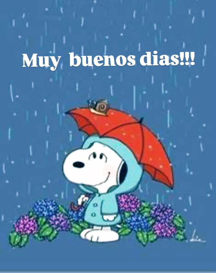 Que, en este inicio de mes... de salud se llene el cuerpo, de amor el corazón y de felicidad el alma 🫠🫠🫠

#Agosto 
#Viernes 
#lluvia