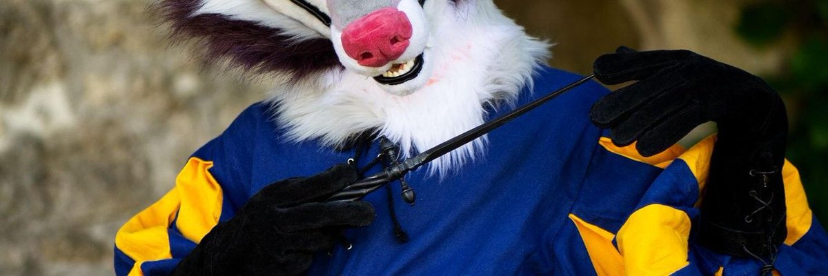 DeadDog Fursuits 🥀 EF DD tweet media