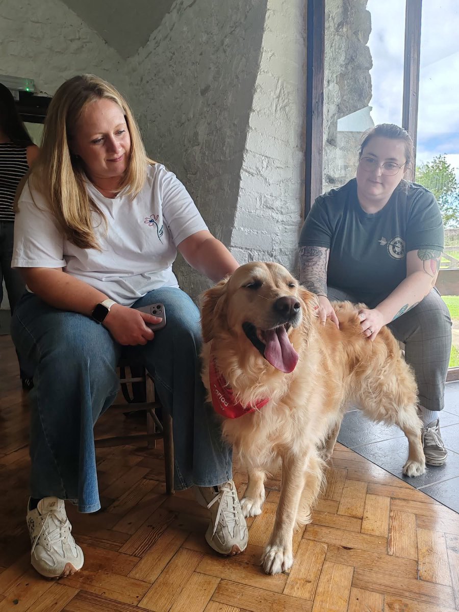 Cŵn Cymorth Cariad / Cariad Pet Therapy (@cariadpet) on Twitter photo Bailey visited NHS staff who work in Cancer Rehabilitation on their away day at Clyne Farm.
Bailey doesn't think life can get any better when he's getting butt scratches ❤️
<a href="/SwanseabayNHS/">Swansea Bay NHS</a> Bailey visited NHS staff who work in Cancer Rehabilitation on their away day at Clyne Farm.
Bailey doesn't think life can get any better when he's getting butt scratches ❤️
<a href="/SwanseabayNHS/">Swansea Bay NHS</a>