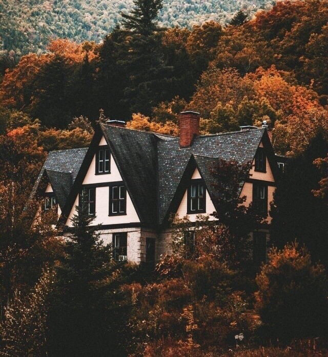 talya9646171863's tweet photo. fall https://t.co/VhC3gzQQ7K