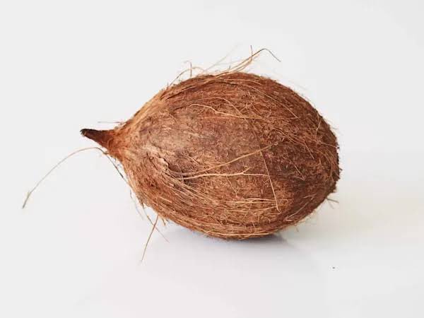 OlawaleOlanir12's tweet image. ASEJE ANU 

( for mercy to be done once in a month ) 

Dried chameleon 

3 native plants eggs 

1 Coconut 

Grind and powder the chameleon 

Put it in a plate ,

Break 3 native eggs in it 

Break one coconut and put the water in it 

Don’t let the water waste at all 

Retweet for…