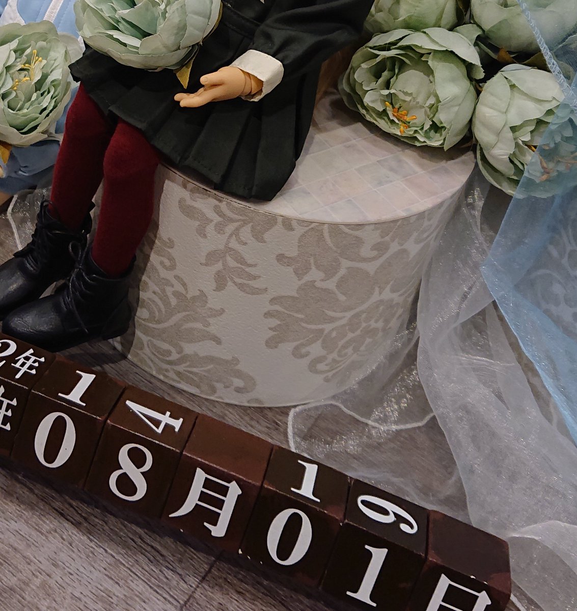 大変お久しぶり浮上です！本日は…家族のために遠征していました、ドール関連です！天使の窓に行ってきました…幸せでした。僕もお迎えしたかった…また次回行こうかなと思ってます…35番君、20番君居なくならないで！
フォローしてくださりありがとうございました！今帰ってきましたので…また後日！