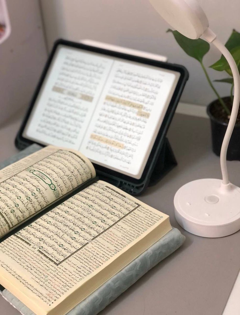 الحمد لله الذي لم يجعل قلوبنا غافلة، ولا أقدامنا عن حلقات العلم متثاقلة، بل أكرمنا بظلّها في زمن الغربة، فصارت لنا أنسًا، ولأرواحنا حياة، ولخطانا طريقًا إلى الجنة✨