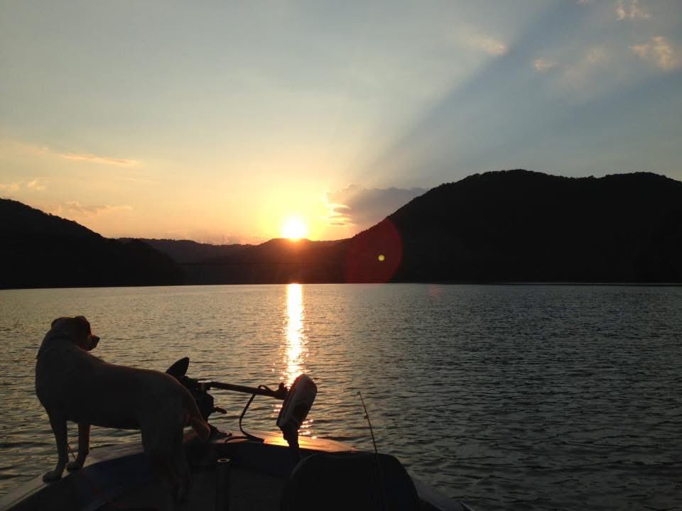 my dad was going through his phone and found these pictures of bug on one of their fishing trips :(