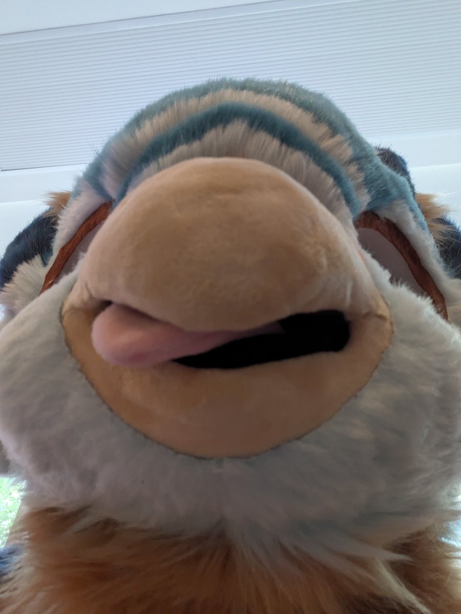 I showed u my beak pls respond