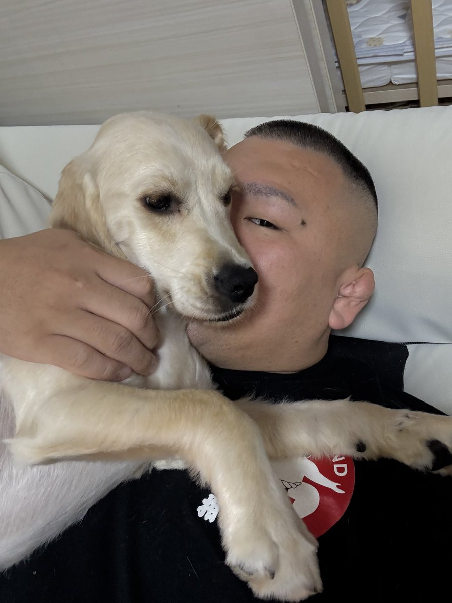 犬好き 犬好きと繋がりたい - Search / X