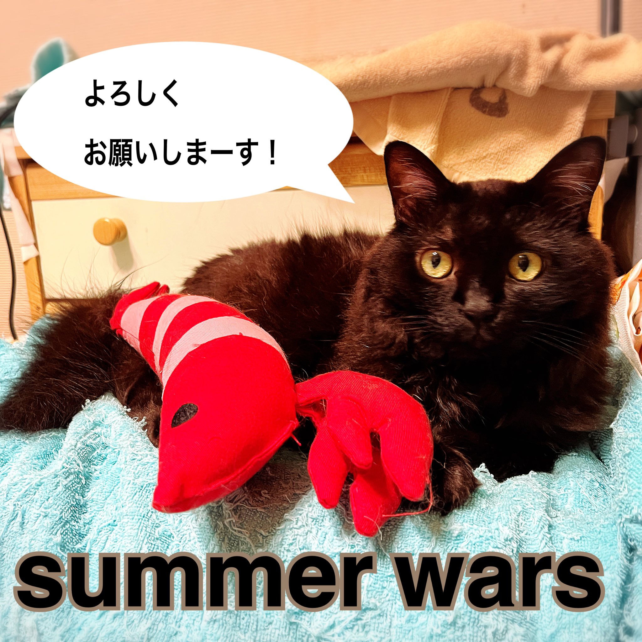Johnny's - 黒猫　 🏳️‍🌈フッキー藤古🌏⚙🌵🐬🍓 on X: 