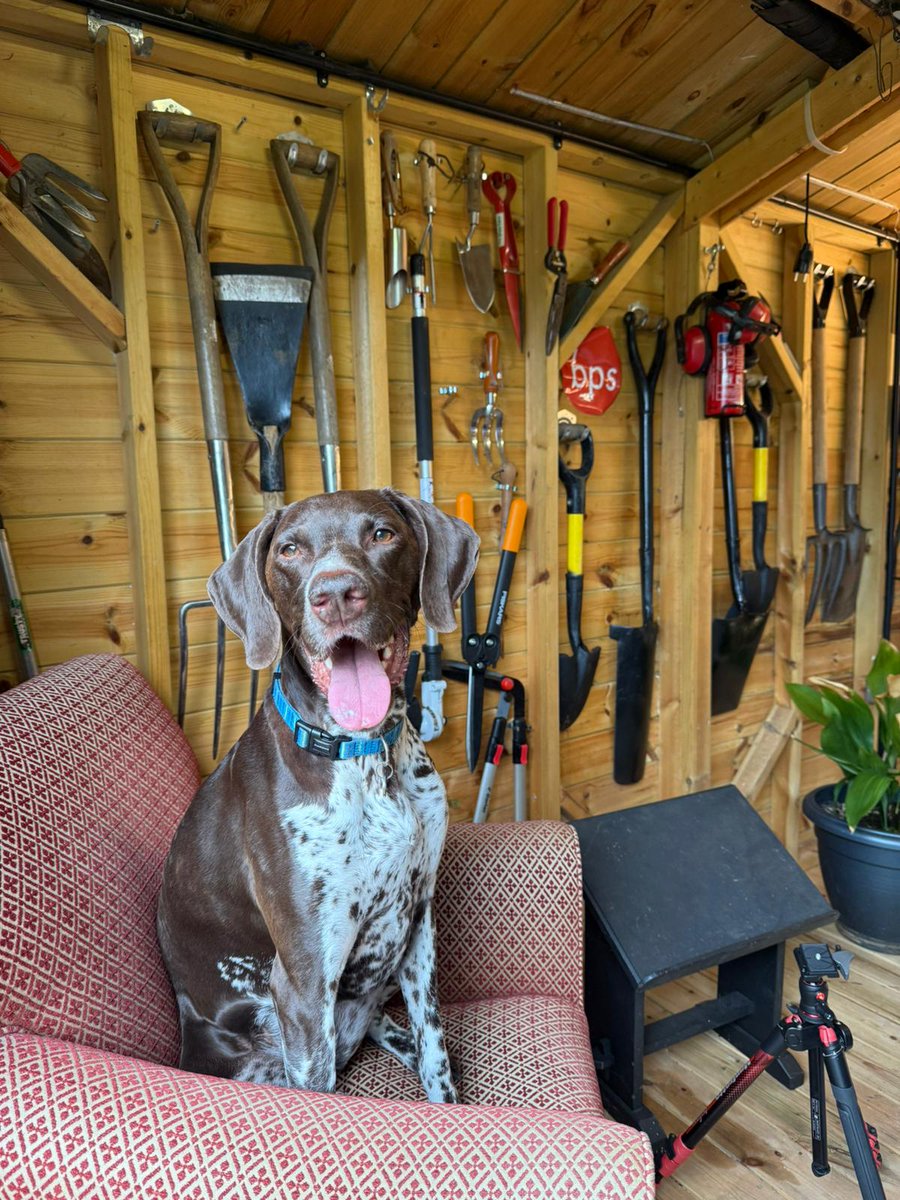 We’ve been busy back in the garden shed filming some fresh content for you. 🎥 Keep an eye out for product highlights, event updates, and more – coming soon. 🔋

#NXTGENbps #PureGreenPower #BatteryPowerSolutions #FilmProduction #TVProduction #LiveEvents