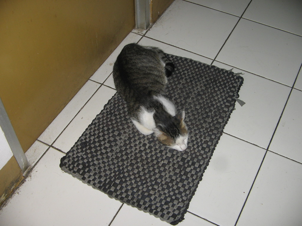 vbpp_'s tweet image. #WTS Digicam | kamera digital
Canon Powershot A400
Kondisi Normal
Lok Bandung bisa via shopee  
Harga: 700k