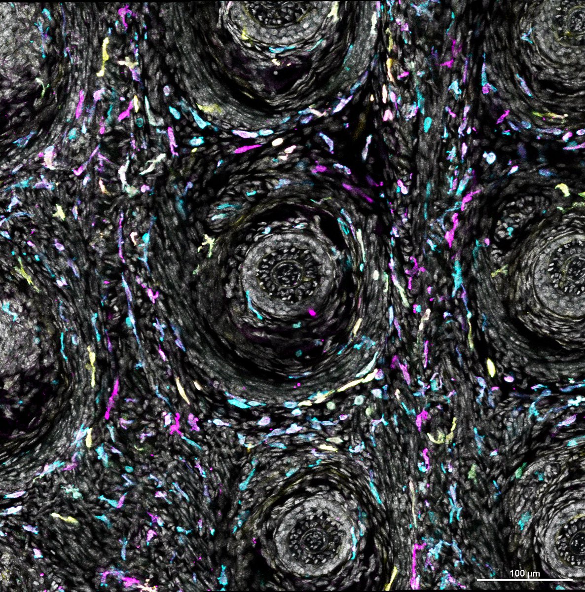 Happy #fluorescencefriday 🔬