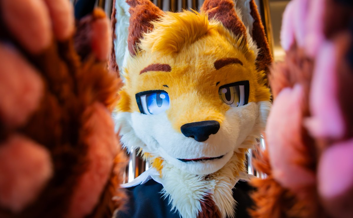 雷沃ライヨウ🔜UTFG (@raywolf_the_fox) on Twitter photo 「你是甚麼?你是一個可愛三明治❤️」
"What are you? A cutie sandwich ❤️"
📷: <a href="/WokaWolf_TW/">ウォッカ/Woka🔜Infurnity🇹🇼</a>
#FursuitFriday #UTFG2025 「你是甚麼?你是一個可愛三明治❤️」
"What are you? A cutie sandwich ❤️"
📷: <a href="/WokaWolf_TW/">ウォッカ/Woka🔜Infurnity🇹🇼</a>
#FursuitFriday #UTFG2025