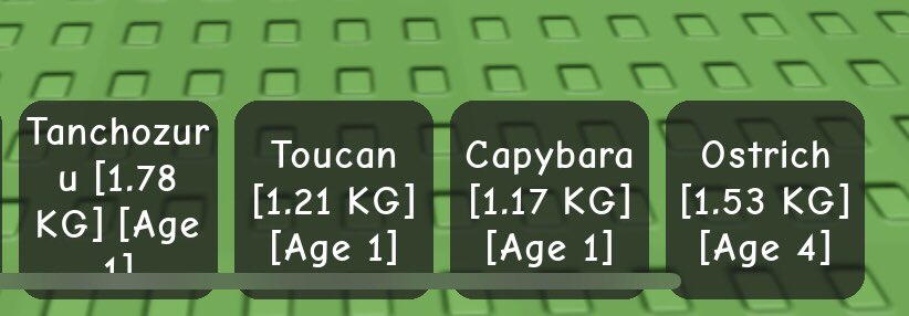 fckyipan's tweet image. Need lagi Kodama baik 5 kalau bisa yang diatas 1kg++ trade sama diantara ini yaa 
bisa trade 1 atau 2 pet ku