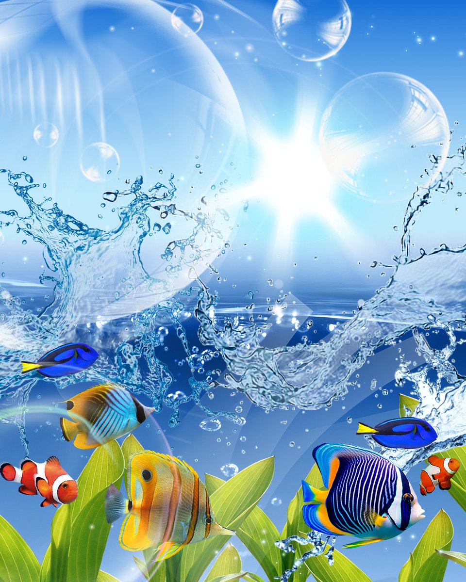 skeuoss's tweet photo. Helvetica Aqua Designs! 🐠🌊🪸

#frutigeraero #helveticaaqua #aesthetic #frutigeraeroaesthetic #early2000s #y2k #nostalgiatrip #nostalgiacore #nostalgia #aero #vaporwave #art #artist https://t.co/uAvNaNcjUW