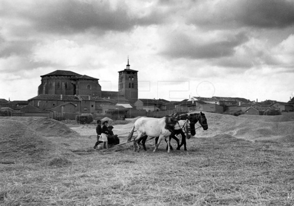 EFELafototeca's tweet image. Faenas de trilla en las eras de Santoyo, #Palencia, en agosto de 1950. #EFEfototeca