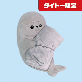 いっしょにお昼寝あざらしさん」が 【タイトー限定】で登場したよ🎉 裏