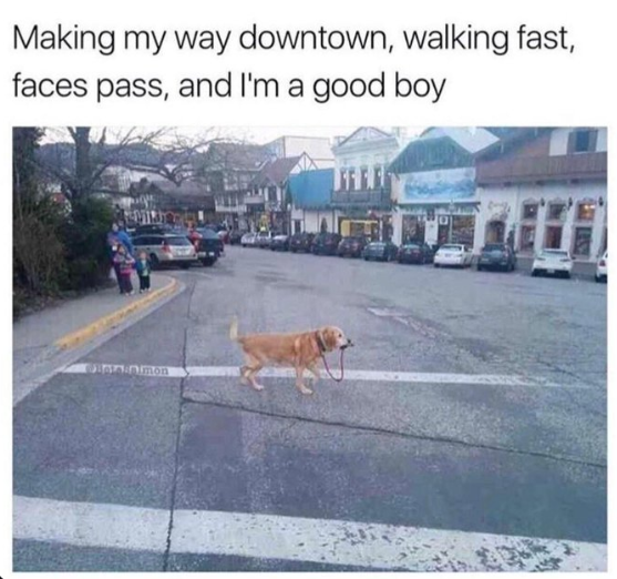 doodle doo doo doo 🎶🎵