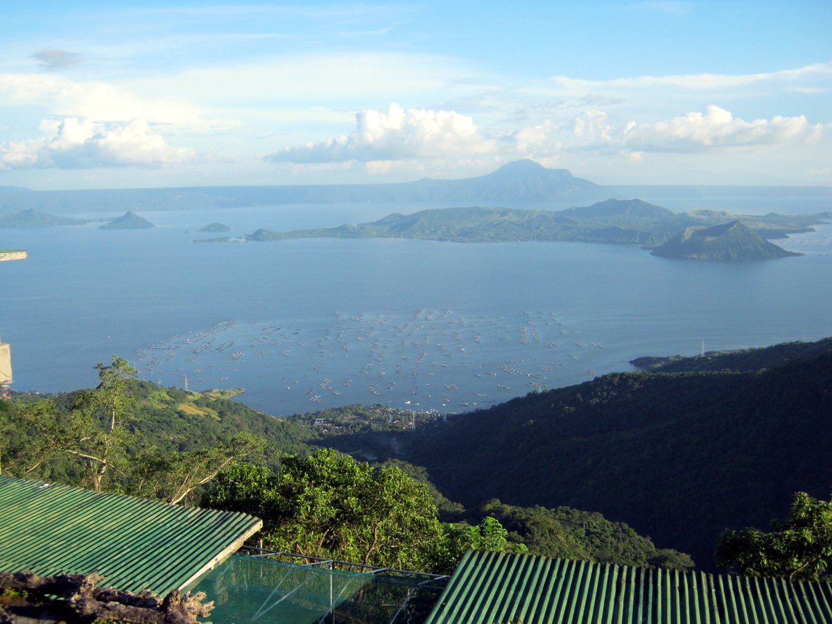 Calvin Ayre tweet media