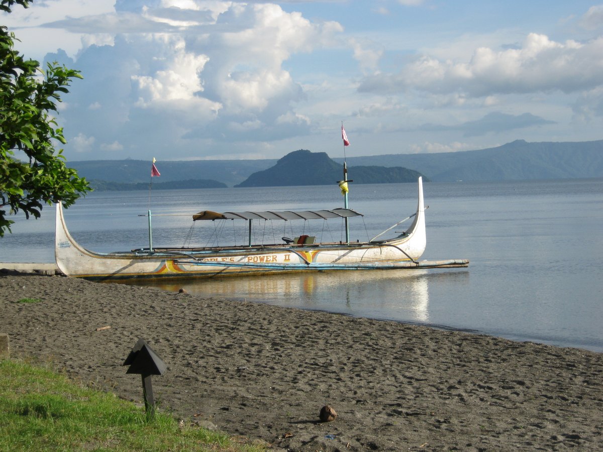 Calvin Ayre tweet media