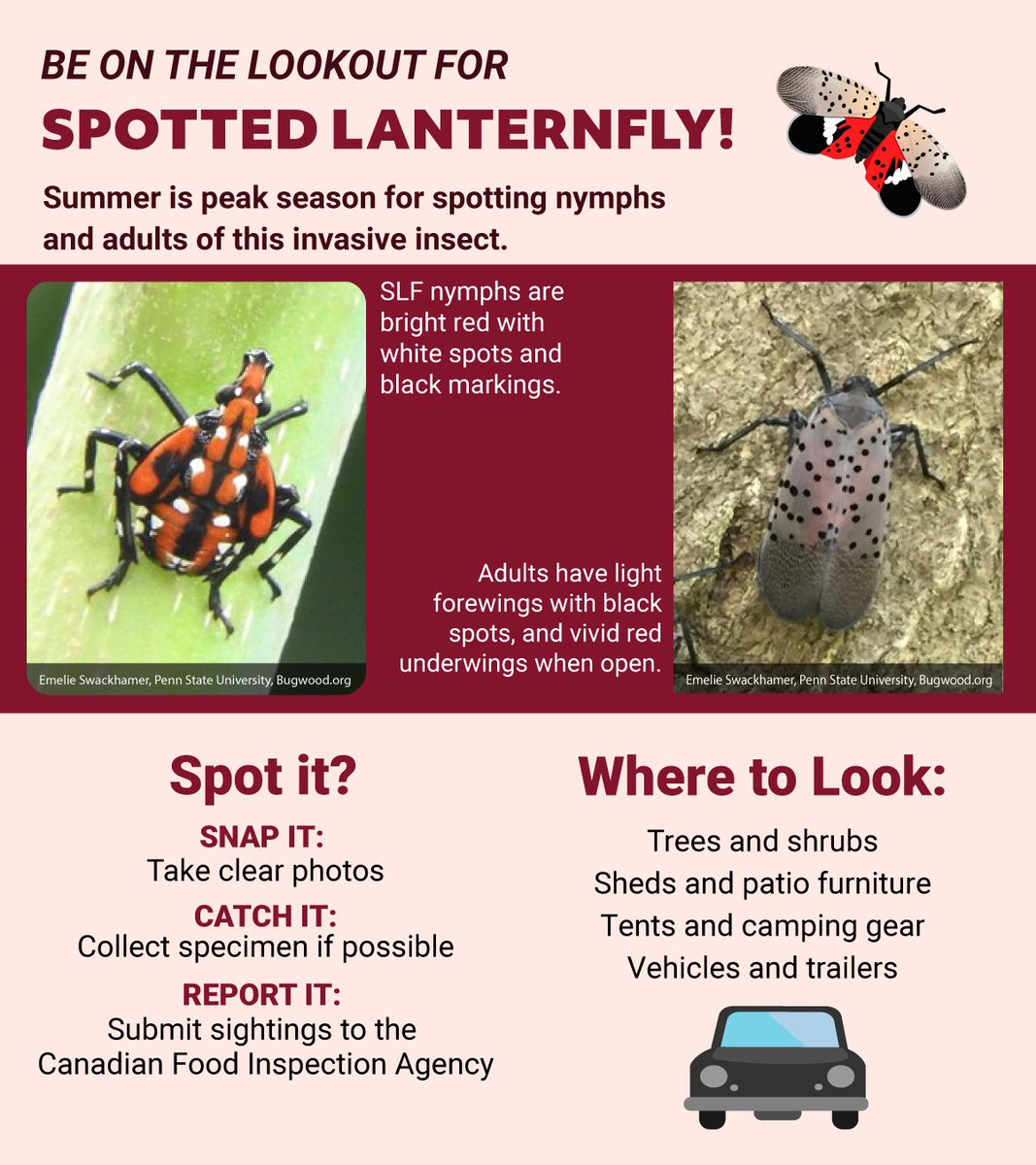 Invasive Species Ctr tweet media