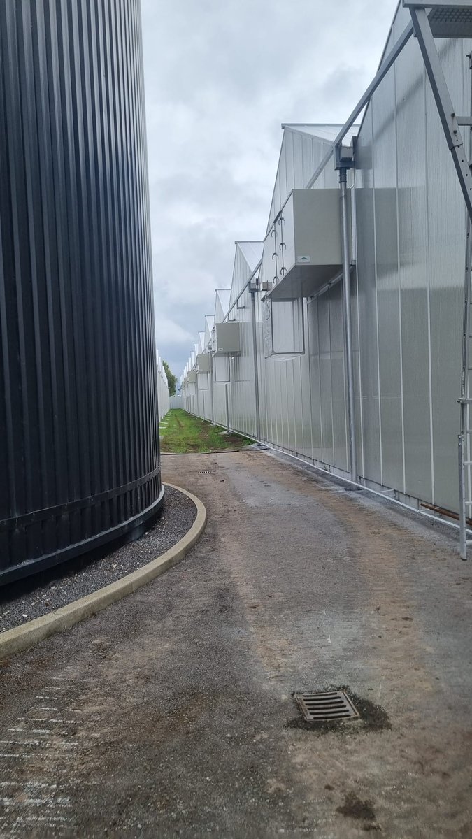 Bij <a href="/SionOrchids/">Sion</a> Labeau in De Lier hebben we in de bestaande kas 6 op maat gemaakte luchtbehandelingskasten gemonteerd. Na de benodigde aanpassingen aan de binnenzijde hebben M. Gardien Montage en Batist Kassenbouw de LBK's weer keurig gemonteerd.