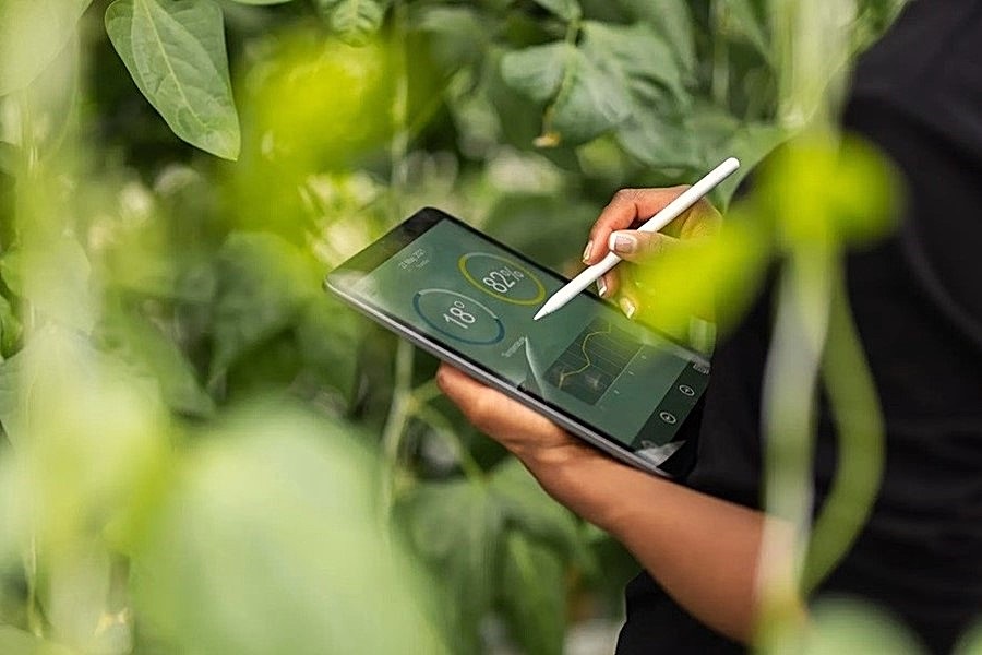 WetTribe's tweet image. 60% of countries do not include ‘marine forest restoration and conservation’ in their climate commitments, and tragically, the US government is now abandoning its prior climate commitments. #WetTribe #TidetotheOcean #FridayFieldUpdate #ClimateChange