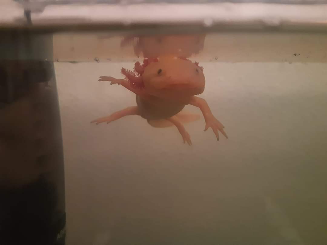 WaterstonesBrentwood tweet media