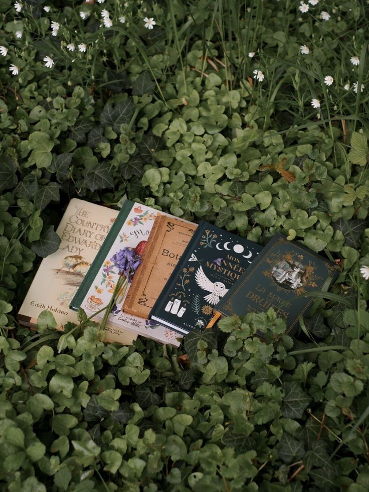 alyyisreading's tweet photo. EVERY BOOK I READ THIS 2025
A 🧵 https://t.co/lGMcBbyKSL
