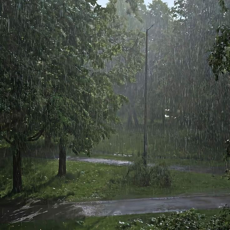 in love with the rain.