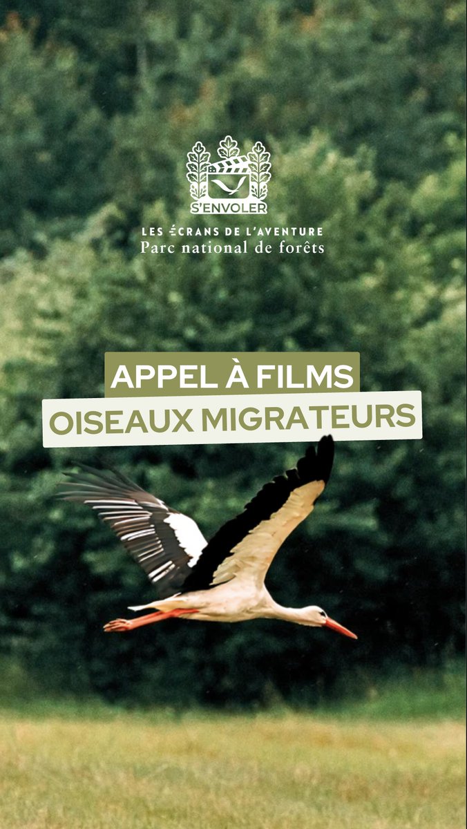 APPEL À FILMS 🕊 Spécial oiseaux migrateurs avec <a href="/parc_nat_forets/">Parc national de forêts</a>  

Vous avez un film sur les oiseaux migrateurs dans un esprit d’aventure et de territoires ?

📩 Envoyez-le avant le 15 août 2025 !

➡️ lesecransdelaventure.com/le-magazine/ap…

#ornithologie #ornithology

<a href="/LaGuilde_Action/">La Guilde</a> <a href="/dijon/">Ville de Dijon</a>
