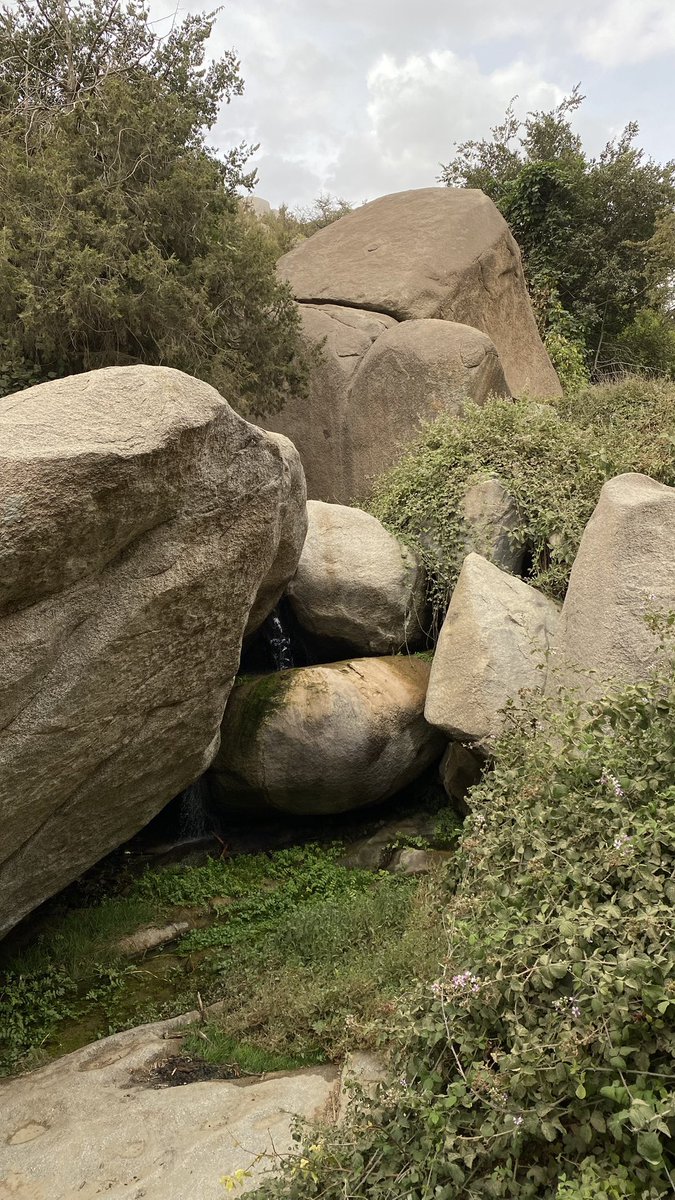 ๐ฉ๐ป๐๐ ๐๐๐ช tweet media