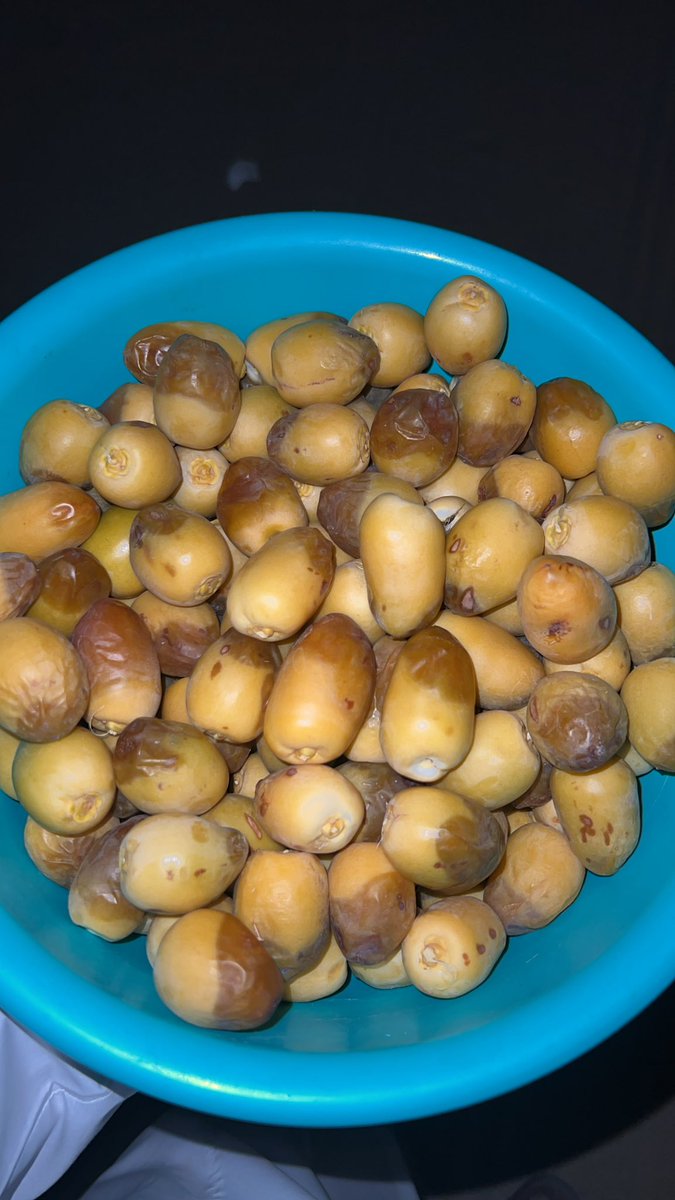 فاكهه الصيف 😍