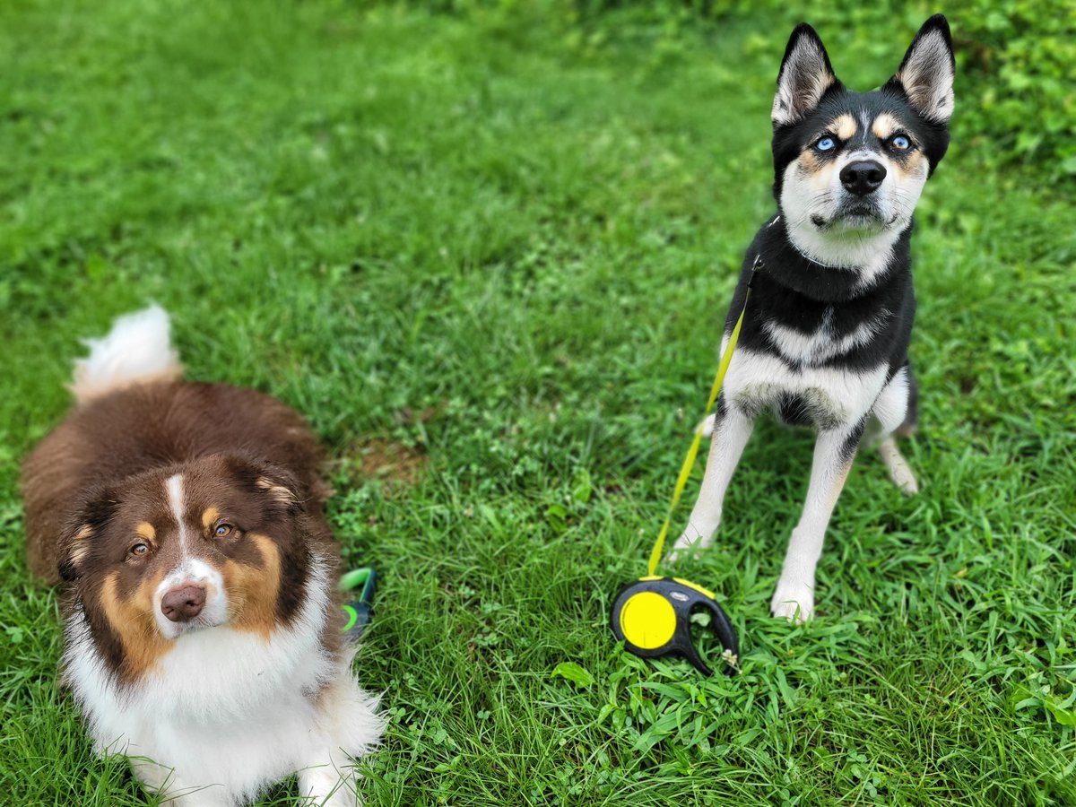 David Miller (@themilman) on Twitter photo 66° with a light drizzle this morning, be still my heart. Dogs don't seem to mind either. <a href="/capitalweather/">Capital Weather Gang</a> 66° with a light drizzle this morning, be still my heart. Dogs don't seem to mind either. <a href="/capitalweather/">Capital Weather Gang</a>