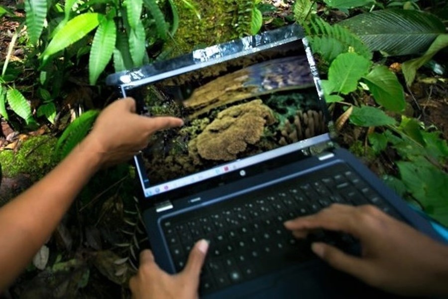 WetTribe's tweet image. 60% of countries do not include ‘marine forest restoration and conservation’ in their climate commitments, and tragically, the US government is now abandoning its prior climate commitments. #WetTribe #TidetotheOcean #FridayFieldUpdate #ClimateChange