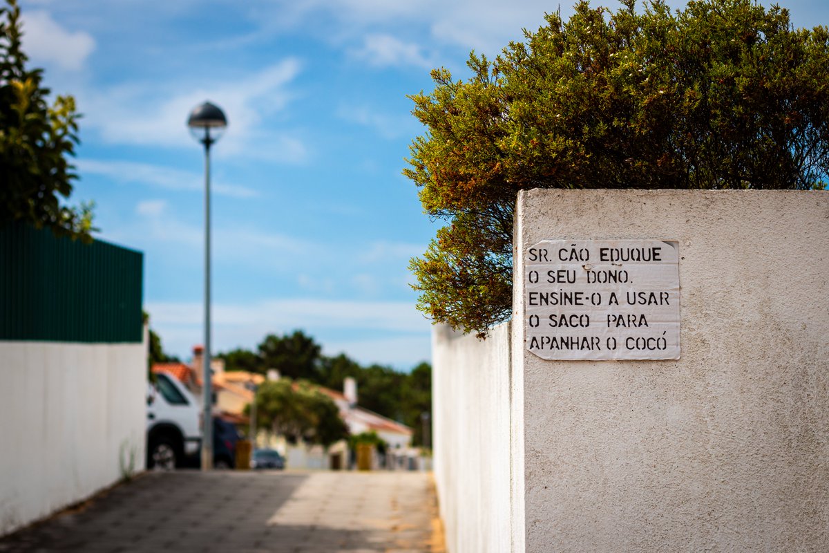 Portugal, un país de contrastes. Ciudades que laten con fuerza, pero también muestran signos de desgaste. 

Y luego están los pueblos, donde el tiempo parece haberse parado. 

Una mijina de lo poco que me vagó a echar fotos en un viaje muy especial ☺️

 #Portugal #Viajes #Amigos