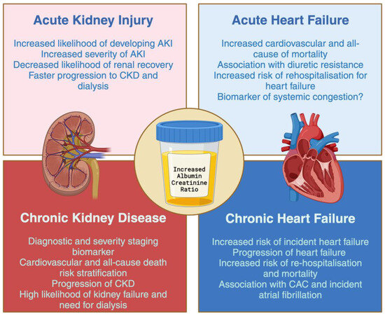 JCM_MDPI's tweet photo. #mdpijcm
#HighlyReviewed
Albuminuria, Forgotten No More: Underlining the Emerging Role in CardioRenal Crosstalk
🎯https://t.co/0pspqOk65B
👥@Tubulocentric @NephroNess
@MediPharma_MDPI https://t.co/qbxpEfKGXb