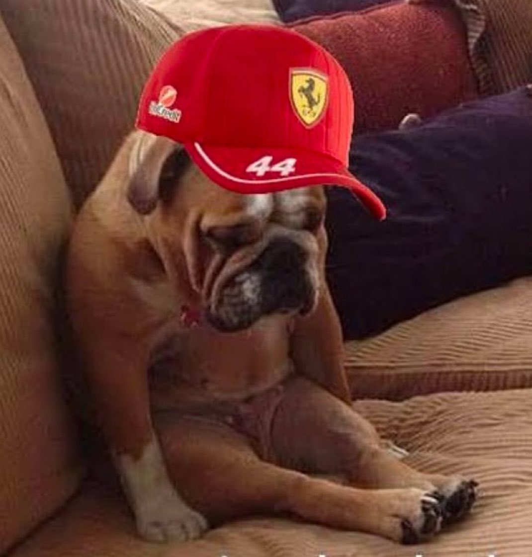 For my mental health, the F1 August break has already started