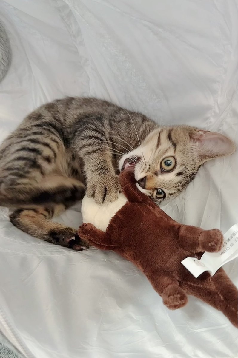 家族が増えました✨