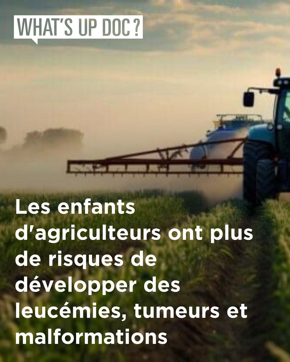 Pesticides : les enfants d'agriculteurs ont plus de risques de développer des leucémies, tumeurs et malformations
➡️ l.whatsupdoc-lemag.fr/wmg