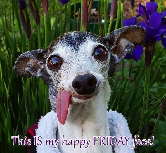 Can I get a Good Morning? 🌻

Motto of the day: This world belongs to those who dare to think differently.