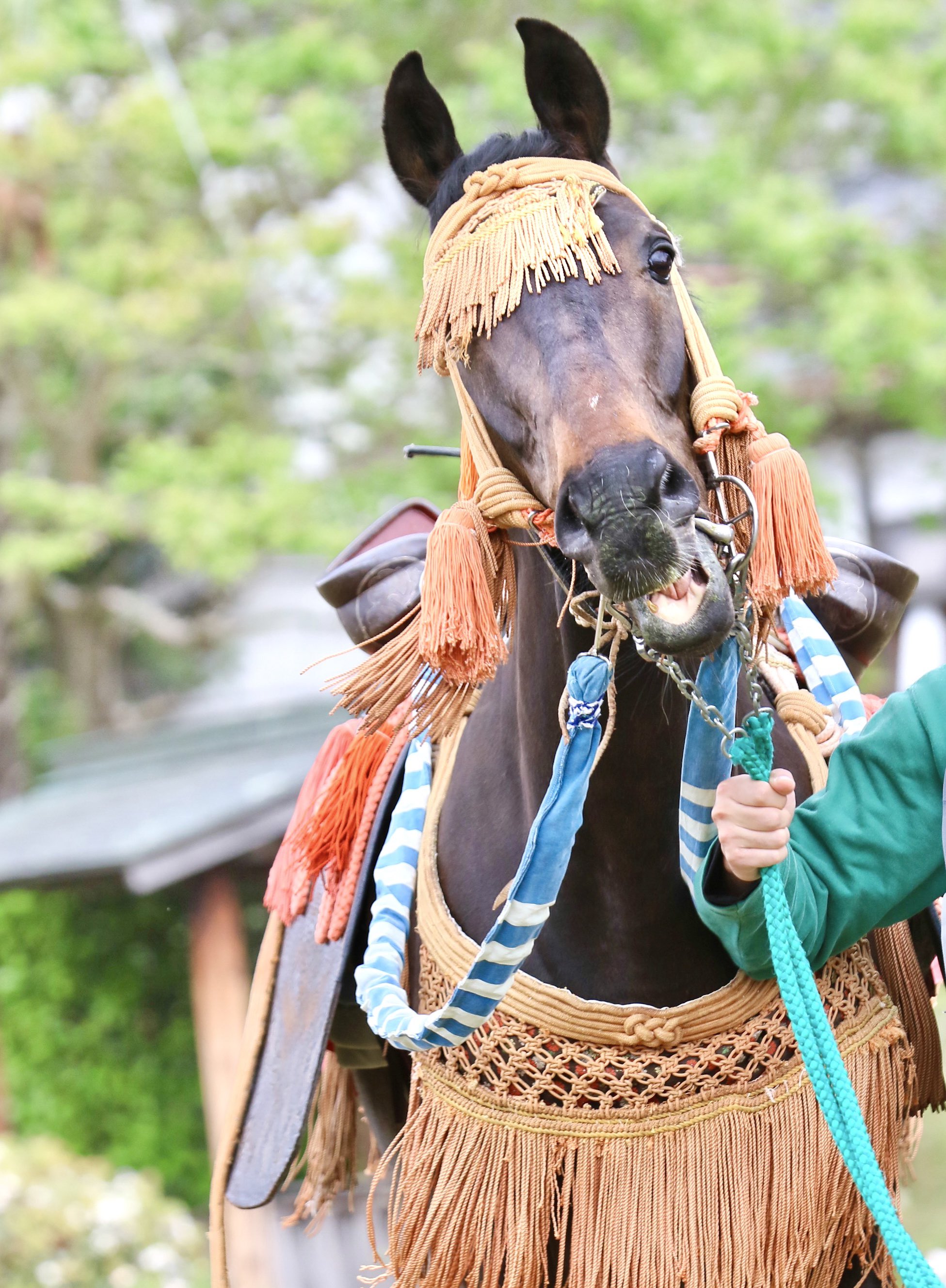 ウマフラー 芦毛 白 welcomeチャンス 非売品 来場ポイント ゴールドシップ産駒】競馬民に年末のご挨拶をしながら馬場入場