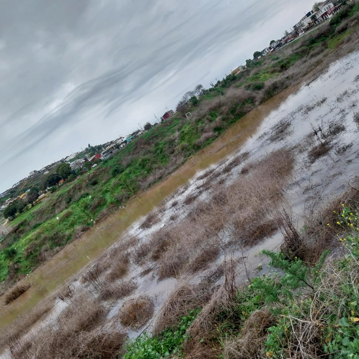 José Luis Brito M. (@jlbritonativo) on Twitter photo Vuelve a la vida el humedal temporal de la laguna del sector Cerro Alegre en el Cerro Centinela, San Antonio <a href="/proa_sanantonio/">Diario El Proa</a> <a href="/diarioellider/">Diario El Lider</a> <a href="/imsanantoniocl/">Muni San Antonio</a> Vuelve a la vida el humedal temporal de la laguna del sector Cerro Alegre en el Cerro Centinela, San Antonio <a href="/proa_sanantonio/">Diario El Proa</a> <a href="/diarioellider/">Diario El Lider</a> <a href="/imsanantoniocl/">Muni San Antonio</a>