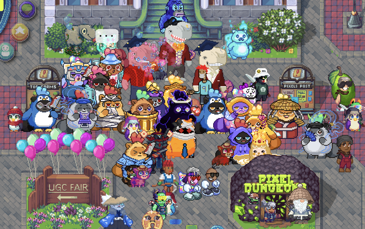 these daily moki meetups are gettin chonkyyy