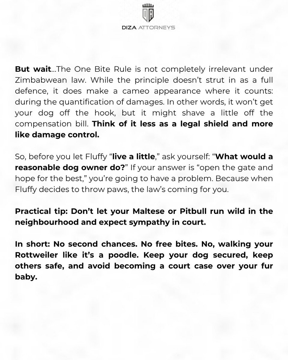 DizaAttorneys's tweet photo. No free bites - your dog, your drama. #LegalHackFriday #LHF https://t.co/kHvBhEI15B