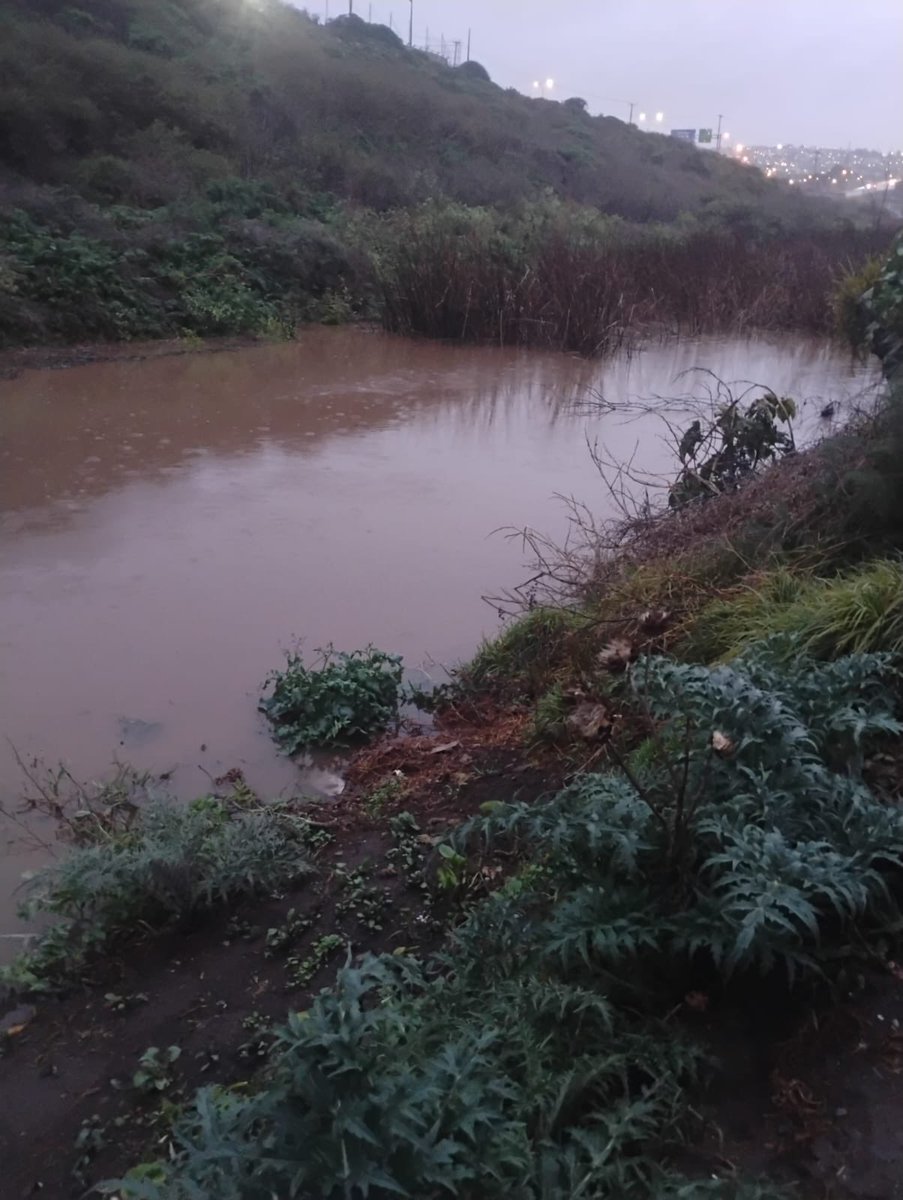 José Luis Brito M. (@jlbritonativo) on Twitter photo El comportamiento del estero El Sauce en el sector San Pedro, ayer 31 de julio (izq) y hoy 01 de agosto (der) , Llolleo, San Antonio <a href="/imsanantoniocl/">Muni San Antonio</a> <a href="/mma_valparaiso/">Seremi MMA Valparaíso</a> <a href="/MMAChile/">Ministerio del Medio Ambiente</a> <a href="/RedNoticiasVR/">RedNoticiasVRegión</a> <a href="/carlider/">Carlos Rodríguez</a> <a href="/proa_sanantonio/">Diario El Proa</a> <a href="/diarioellider/">Diario El Lider</a> <a href="/lvalderas/">Luis Valderas</a> El comportamiento del estero El Sauce en el sector San Pedro, ayer 31 de julio (izq) y hoy 01 de agosto (der) , Llolleo, San Antonio <a href="/imsanantoniocl/">Muni San Antonio</a> <a href="/mma_valparaiso/">Seremi MMA Valparaíso</a> <a href="/MMAChile/">Ministerio del Medio Ambiente</a> <a href="/RedNoticiasVR/">RedNoticiasVRegión</a> <a href="/carlider/">Carlos Rodríguez</a> <a href="/proa_sanantonio/">Diario El Proa</a> <a href="/diarioellider/">Diario El Lider</a> <a href="/lvalderas/">Luis Valderas</a>