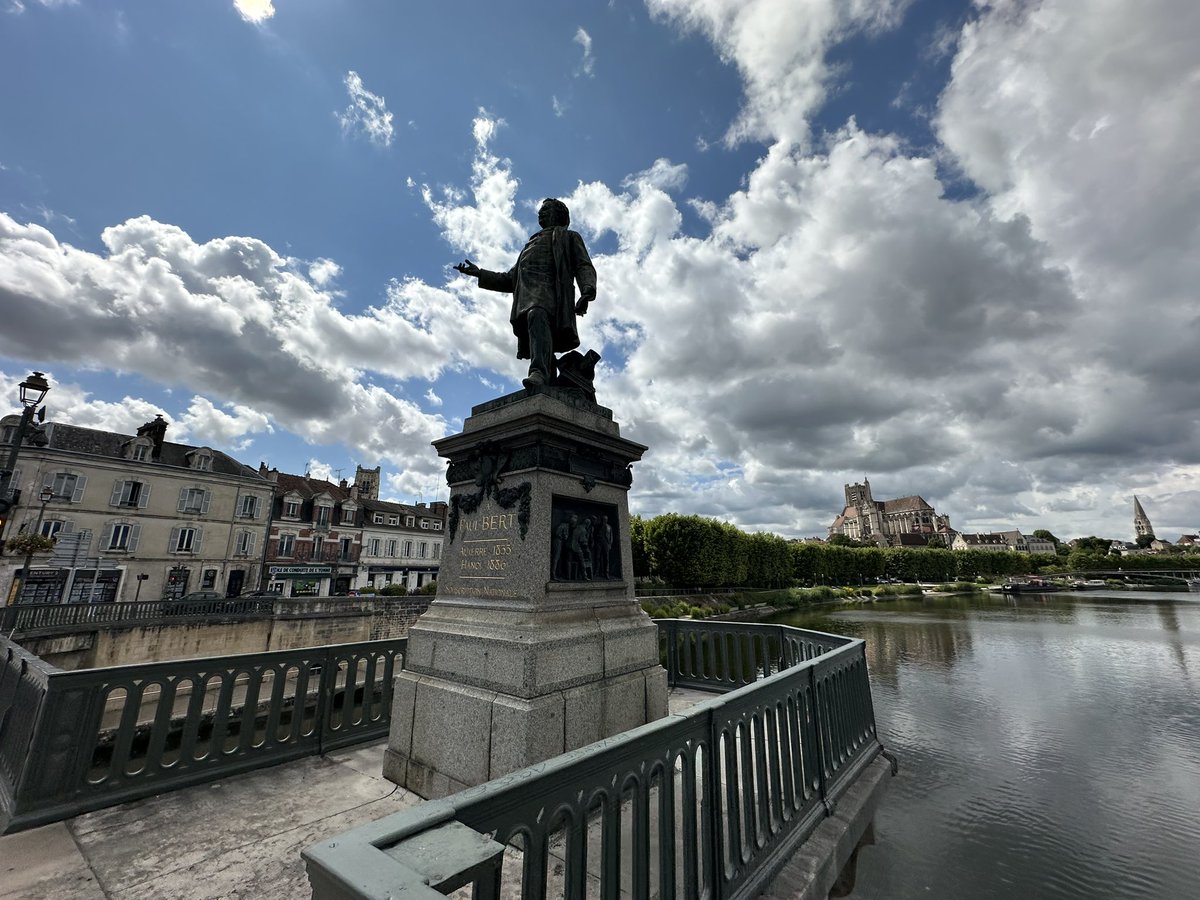 Alex Jones tweet media