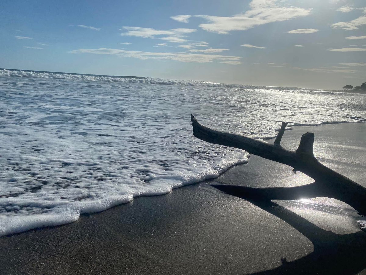 Que tu día inicie con alegría y termine con gratitud.

#FraseDelDía